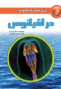 در اقیانوس